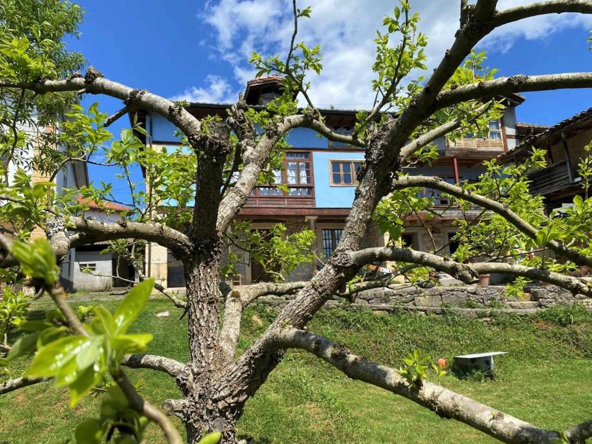 Casa Rural El Bohio Arriondas Luaran gambar